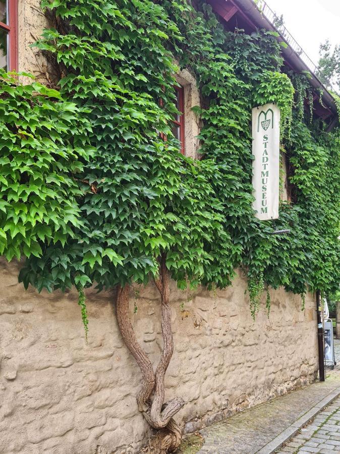 Altstadt Domizil Pirna Luaran gambar